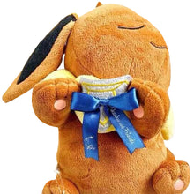 Lade das Bild in den Galerie-Viewer, Süßer schlafender Evoli Eevee Plüsch Pokemon (ca. 35cm) kaufen
