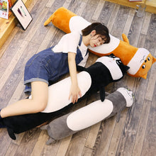 Lade das Bild in den Galerie-Viewer, XXL Niedliche Kawaii Plüsch Katzen oder Hunde Kuscheltiere (90 oder 140cm) kaufen
