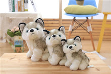 Lade das Bild in den Galerie-Viewer, Niedlicher Husky Kuscheltier Stofftier Hund kaufen

