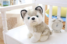 Lade das Bild in den Galerie-Viewer, Niedlicher Husky Kuscheltier Stofftier Hund kaufen
