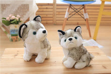 Lade das Bild in den Galerie-Viewer, Niedlicher Husky Kuscheltier Stofftier Hund kaufen
