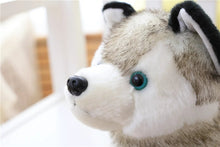 Lade das Bild in den Galerie-Viewer, Niedlicher Husky Kuscheltier Stofftier Hund kaufen
