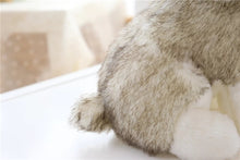 Lade das Bild in den Galerie-Viewer, Niedlicher Husky Kuscheltier Stofftier Hund kaufen
