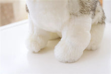 Lade das Bild in den Galerie-Viewer, Niedlicher Husky Kuscheltier Stofftier Hund kaufen

